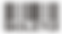 Boleto.png